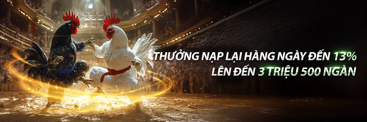 Hình ảnh chính của trang đăng nhập gg8844, thể hiện nền tảng cá cược an toàn và chuyên nghiệp